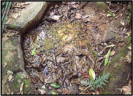 A close-up of a puddle of water

AI-generated content may be incorrect.