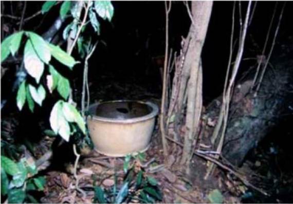 A pot in the woods at night

AI-generated content may be incorrect.