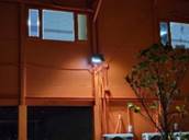 A building with a window and a tree

AI-generated content may be incorrect.