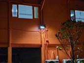 A tree in front of a building

AI-generated content may be incorrect.