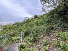 A path leading to a hill

AI-generated content may be incorrect.