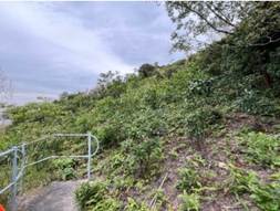 A path leading to a hill

AI-generated content may be incorrect.